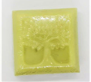 Soap Bar