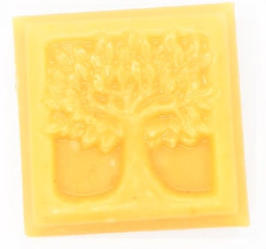 Soap Bar